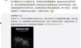 打假内鬼爆料视频大全