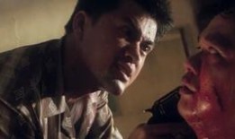 坡豪在线观看免费,揭秘神秘坡豪世界