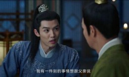 宁安如梦爆料新闻视频,揭秘新闻背后的真相