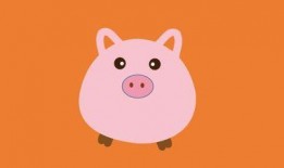 小胖猪是谁爆料的啊视频,揭秘“小胖猪是谁爆料的”视频背后的真相