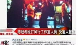 卓伟老师爆料视频大全,视频大全揭秘娱乐圈幕后真相