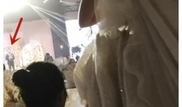 爆料嘴哥结婚视频播放,甜蜜瞬间引网友热议