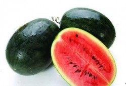 威海吃瓜网红有哪些名字