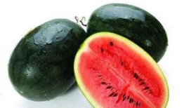 威海吃瓜网红有哪些名字