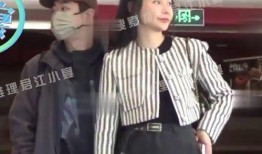 刘大锤最新爆料大鹏视频,大鹏视频背后的惊人内幕