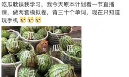 娱乐圈吃瓜大全pdf,吃瓜大全PDF深度解析