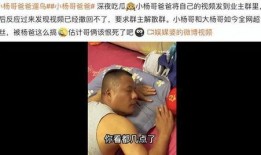 小杨哥新闻爆料视频,揭秘新闻背后真相
