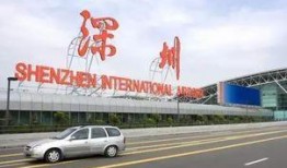 深圳二胎爆料最新消息,全面解读与影响分析