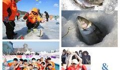 鳟鱼在线观看,揭秘水下美食的奇幻之旅