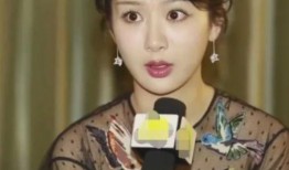 杨紫李现娱乐圈爆料事件,真相与谣言的交织