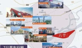 张柏澜爆料视频大全集下载,揭秘娱乐圈不为人知的一面