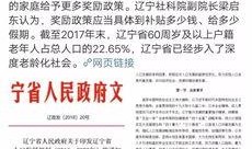 深圳二胎爆料最新消息,全面解读与影响分析