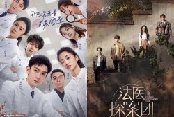 宁安如梦爆料新闻视频,揭秘新闻背后的真相