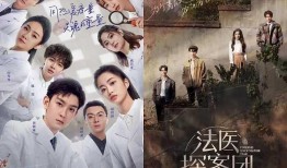 宁安如梦爆料新闻视频,揭秘新闻背后的真相