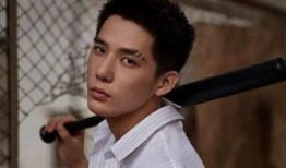 王安宇爆料吴磊了吗视频,独家视频揭秘事件真相