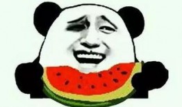 吃瓜的宝贝全集免费观看,揭秘娱乐圈幕后风云，免费观看全集大揭秘