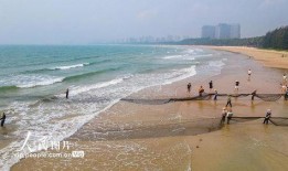 海南赶海爆料视频播放下载,高清视频播放与下载攻略