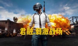 吃鸡抽奖爆料视频大全最新,揭秘热门活动幕后秘密