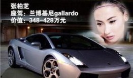 杨幂爆料跑车视频大全,揭秘明星奢华座驾背后的故事