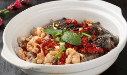 餐饮爆料牛蛙视频,从视频爆料看餐饮行业新趋势