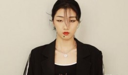 刘晶爆料录音视频,事件背后惊人真相