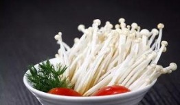 爆料金针菇吃货视频下载,揭秘吃货视频中的美味下载攻略