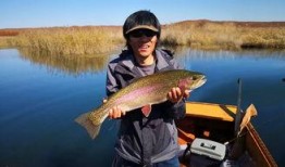 鳟鱼在线观看,揭秘水下美食的奇幻之旅