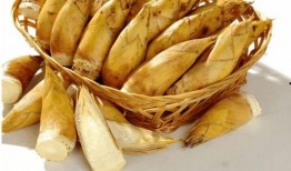 黄金爆料竹笋怎么做视频,竹笋这样做，美味又营养！