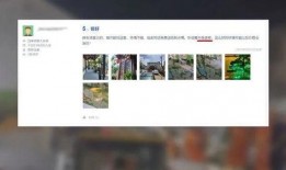 苏州饭店爆料事件真相视频,揭秘真相背后的惊人内幕