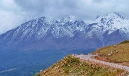 西安美业爆料事件视频最新,揭露行业潜规则与真相