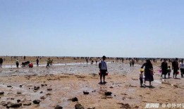 海南赶海爆料视频播放下载,高清视频播放与下载攻略