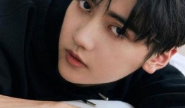 焉栩嘉前女友爆料视频,揭秘明星背后的情感纠葛