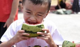 吃瓜的宝贝全集免费观看,揭秘娱乐圈幕后风云，免费观看全集大揭秘