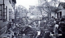 桂林新闻爆料视频大全集,视频大全集精彩回顾