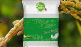 绿色大米爆料视频,视频爆料带你探秘绿色大米种植全过程