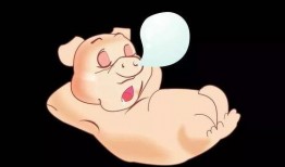 小胖猪是谁爆料的啊视频,揭秘“小胖猪是谁爆料的”视频背后的真相