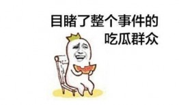 吃瓜群众免费吃瓜打架,一场吃瓜群众的打架盛宴