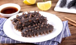 烟台海参爆料视频最新,揭秘海参行业潜规则与真相