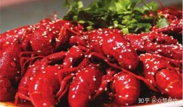 爆料小龙虾直播视频,小龙虾养殖与烹饪全过程