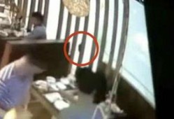 网红考场吃瓜视频,揭秘考场背后的趣味瞬间