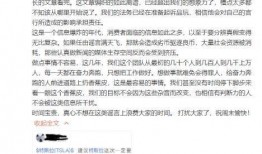 品玩爆料特斯拉的视频,品玩视频揭秘未来智能驾驶革命