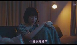 爸爸活日剧在线观看,温馨家庭生活全景展现