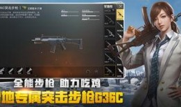 绝地求生故事爆料视频大全,揭秘故事爆料视频大全背后的精彩瞬间