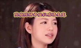 陈妍希娱乐爆料事件,真相与争议交织