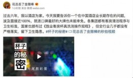 酒店清洁爆料怎么做的视频,视频教你高效清洁技巧