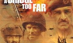 遥远的桥在线观看,揭秘遥远的桥在线观看之旅